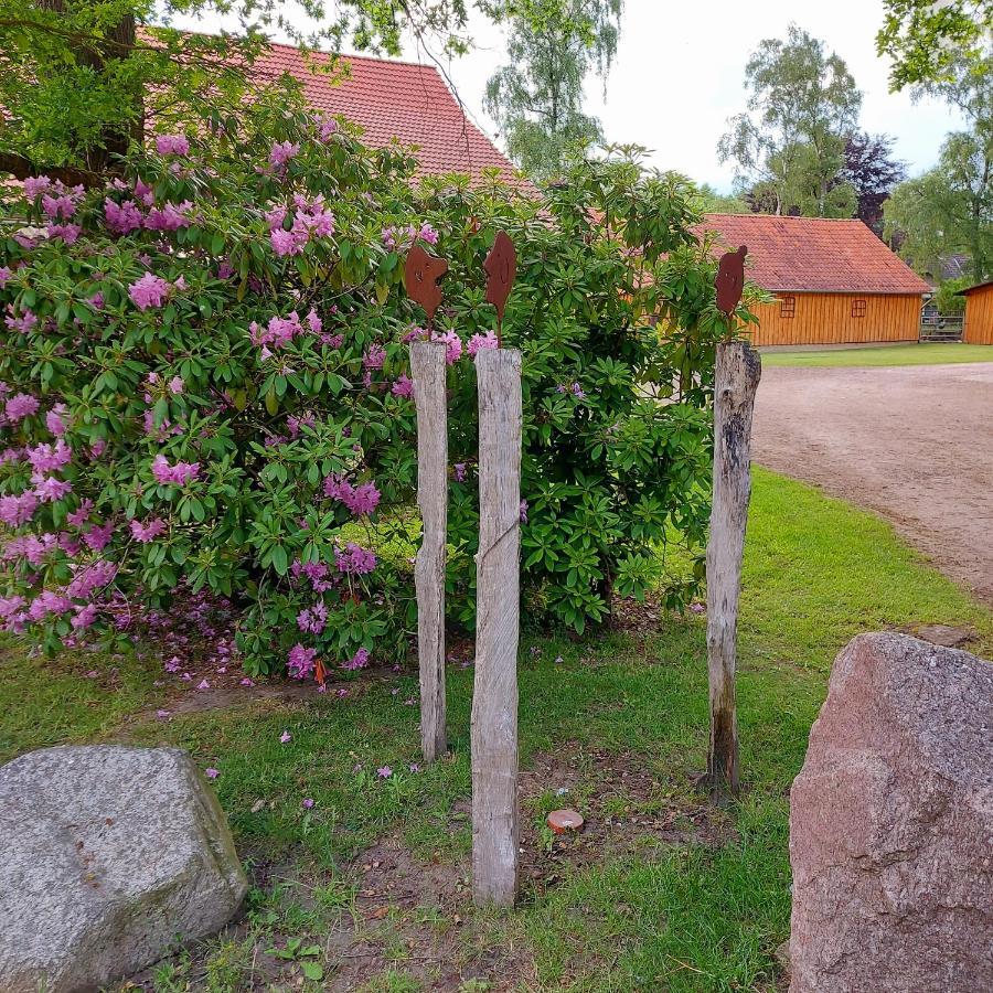 Roehrshof Leilighet Bispingen Eksteriør bilde